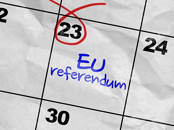 EU referendum_crop